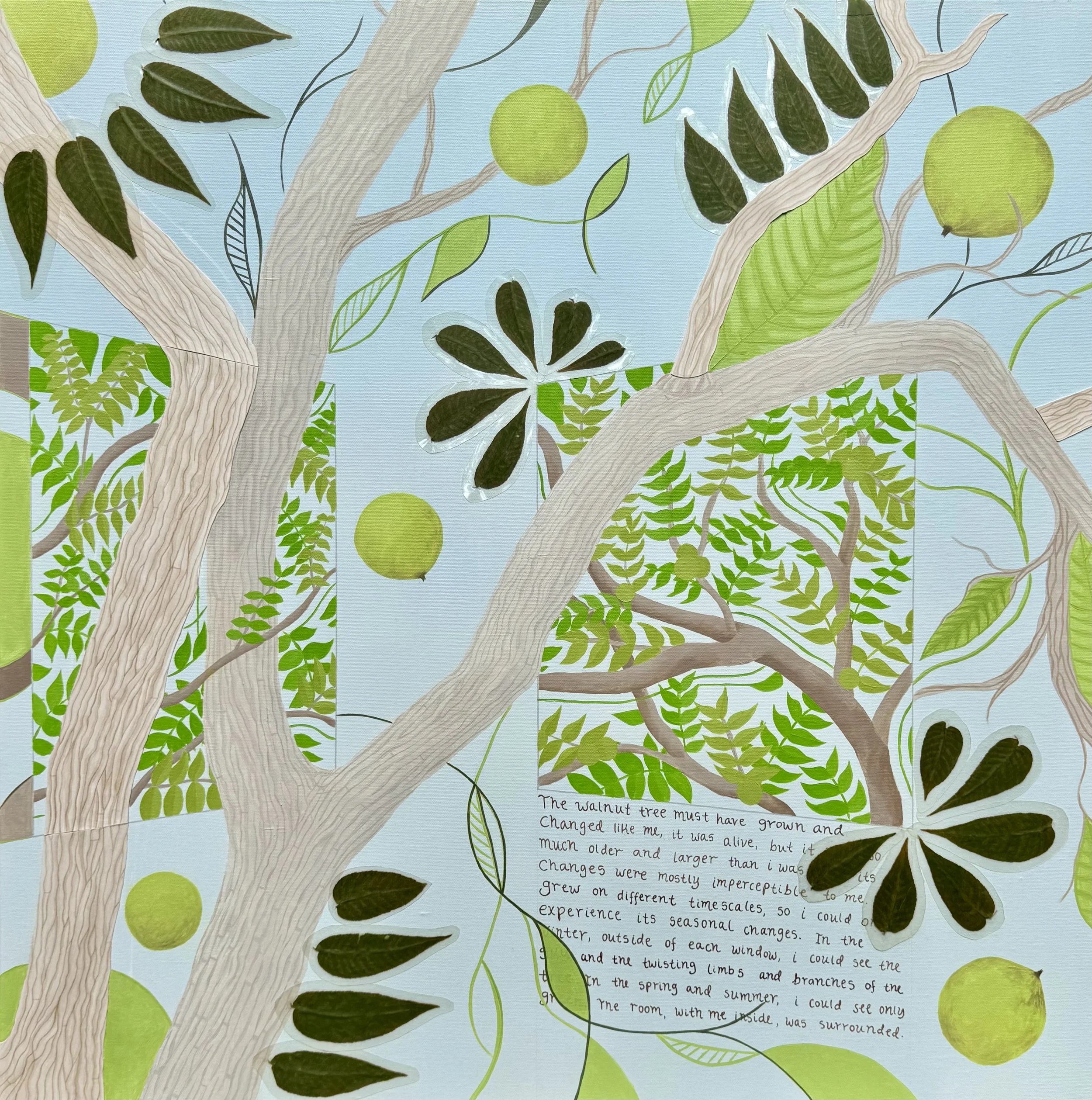 thewalnuttree1.jpg