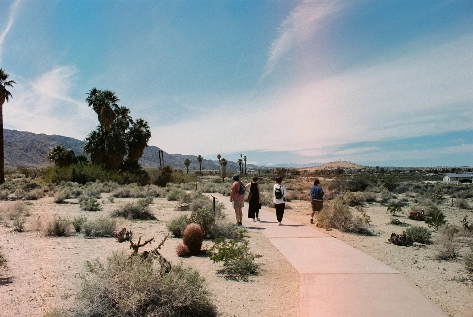 IMG9558-R01-023A.jpg