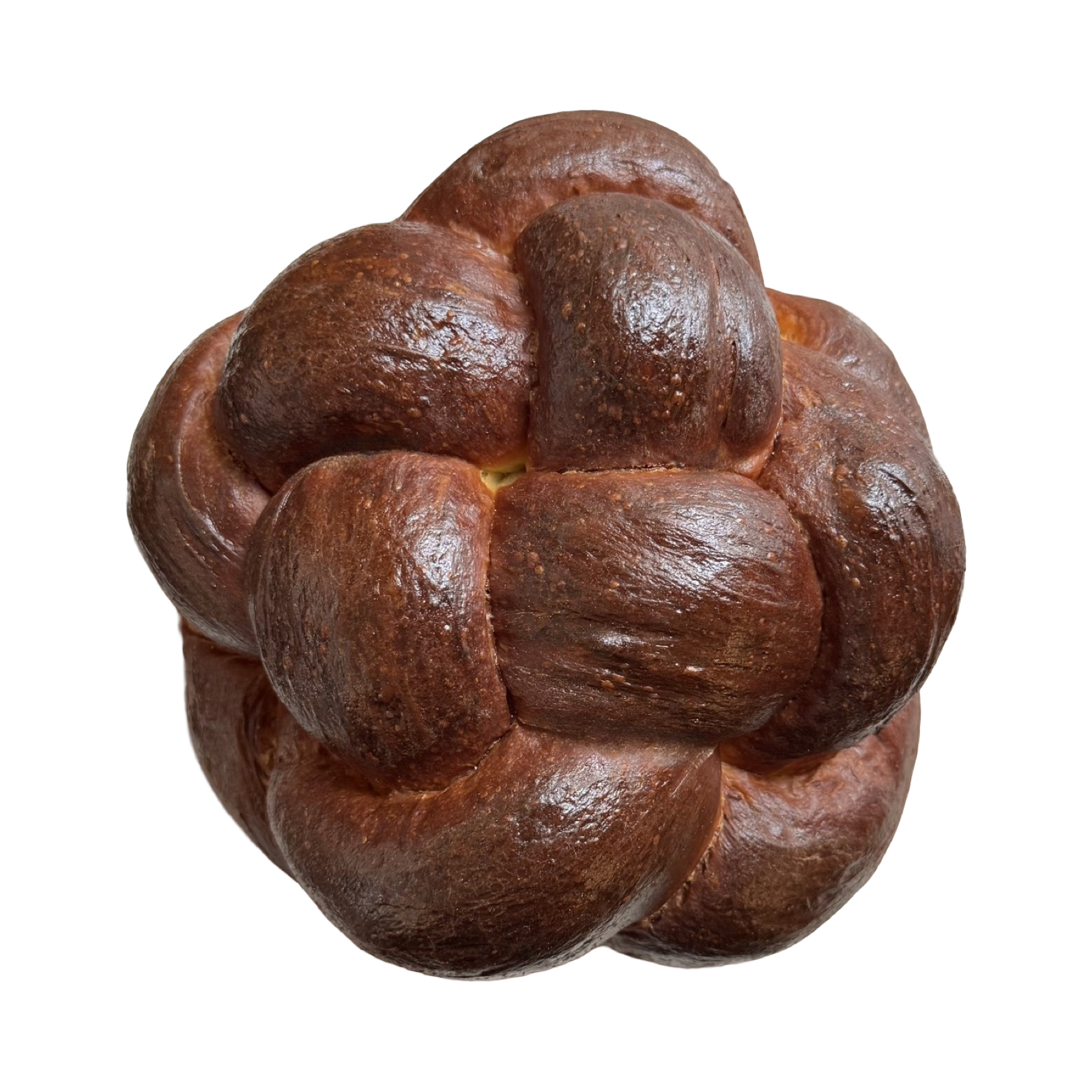 IMG_6294.PNG