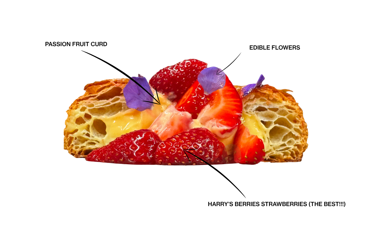 Copy of Copy of Copy of Harry's Berries Passion Fruit (6).png