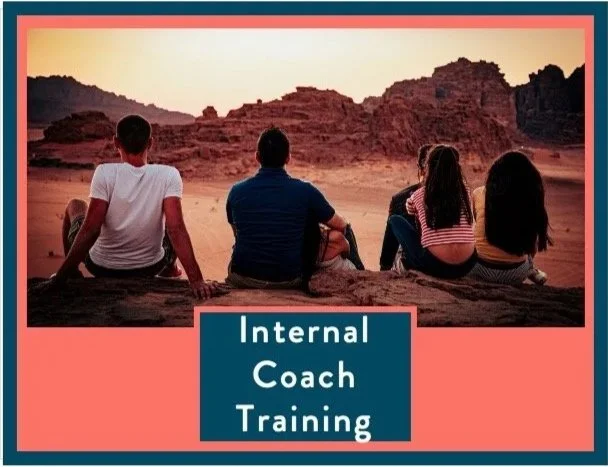 Increase your Organisation’s Internal Coaching Capacity
