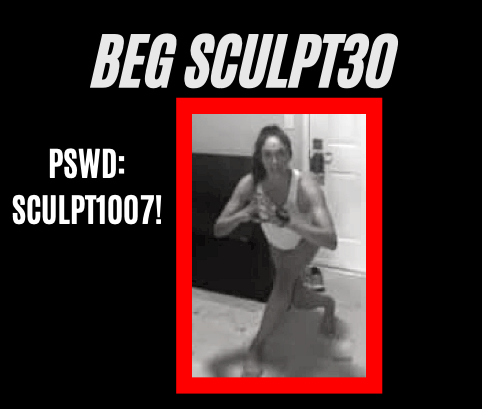 PSWD: SCULPT1007!