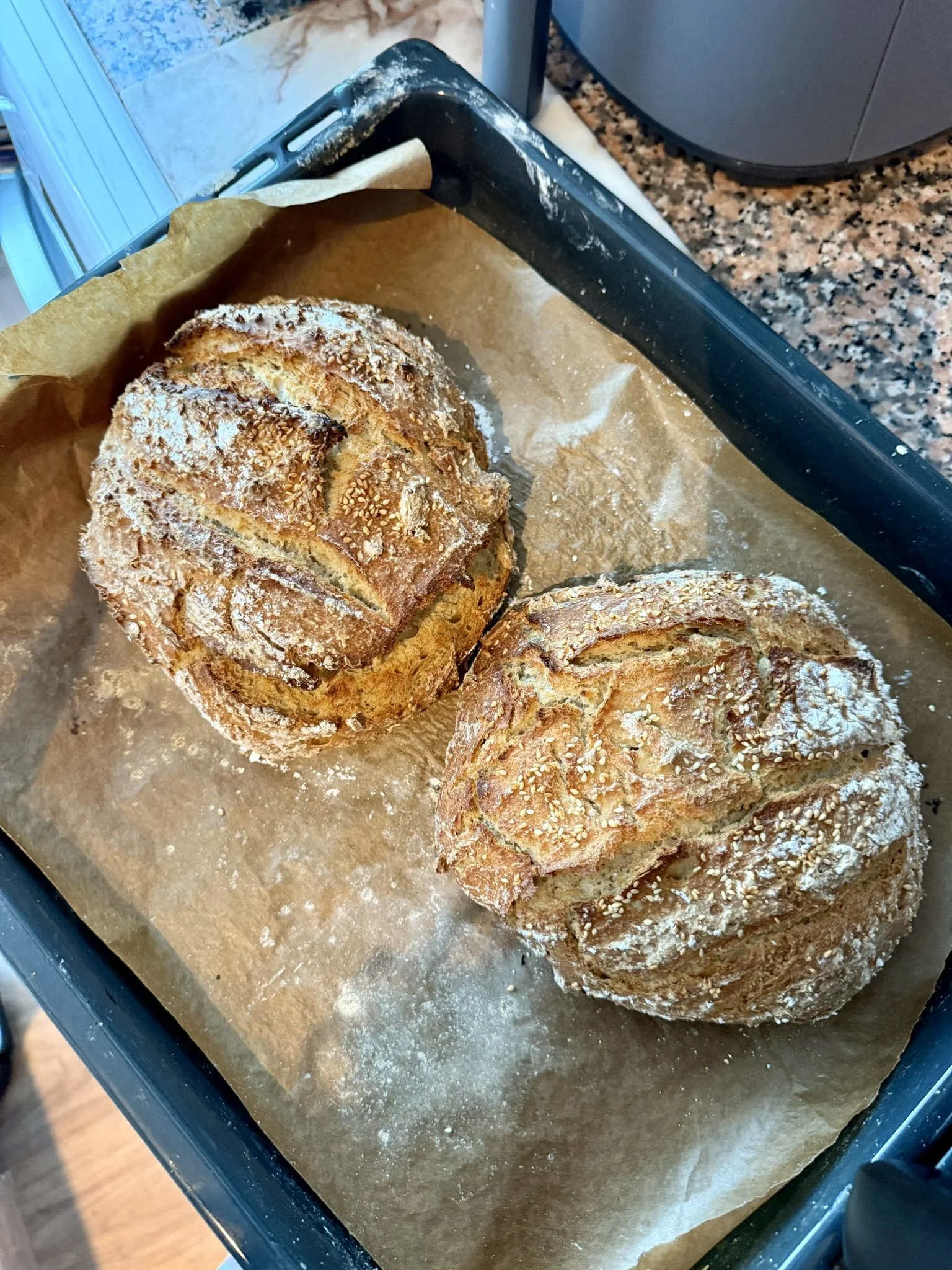 Pão de trigo e aveia