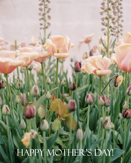 From Belle Bloo to you, Happy Mother's Day!