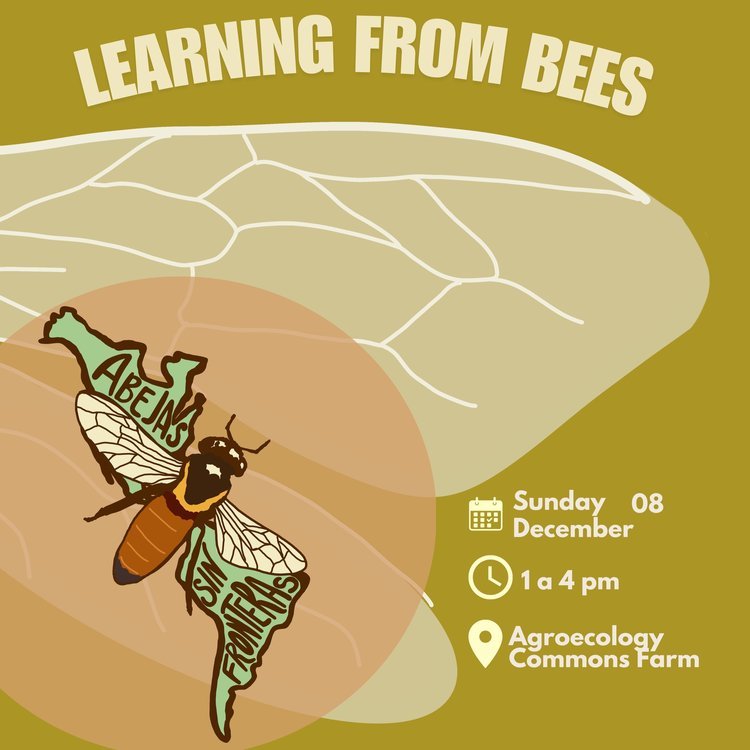 Beekeeping, Farmer-to-Farmer Skillshare/ Apicultura