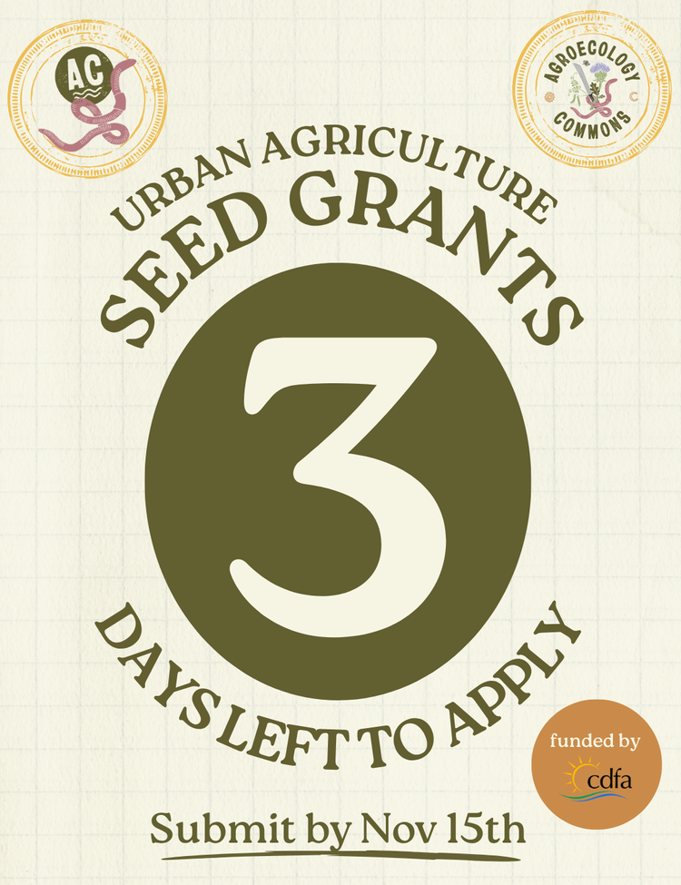 3 Days Left for Urban Agriculture Seed grants
