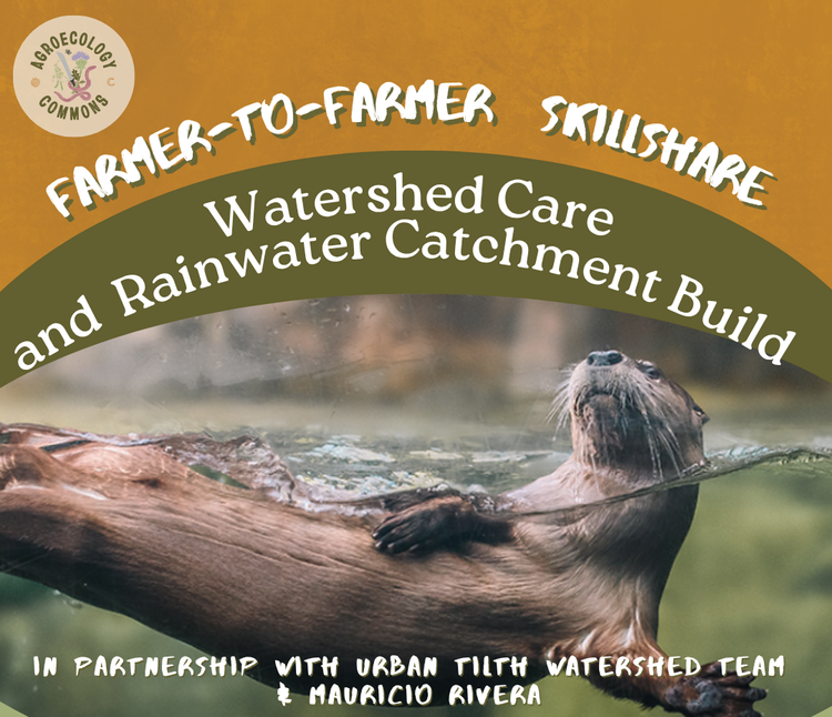 Fall Volunteer Day, Rain Catchment Skillshare, CDFA Grants