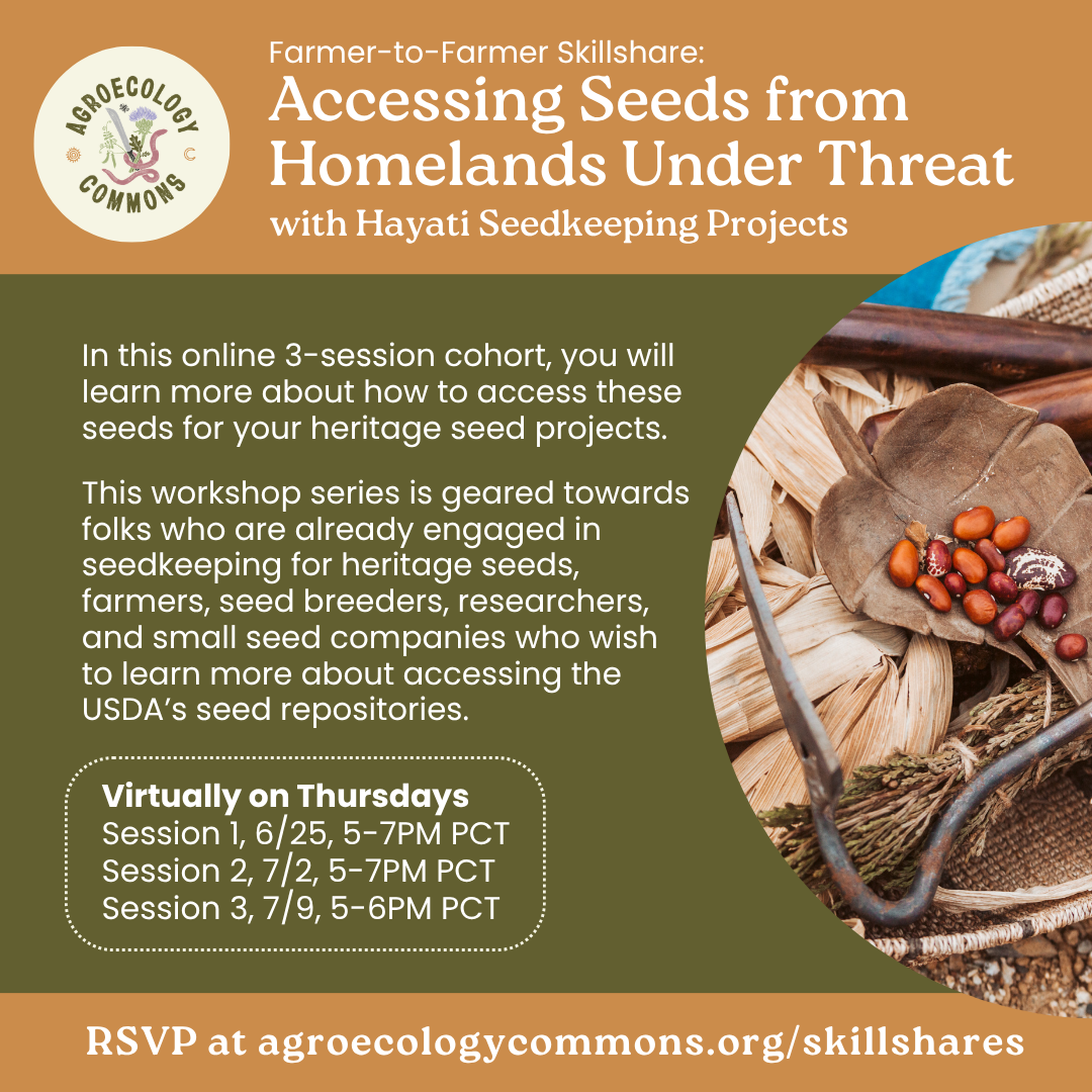 Farmer-to-Farmer Skillshare: Accessing Seeds from homelands under threat with Hayati Seed Projects