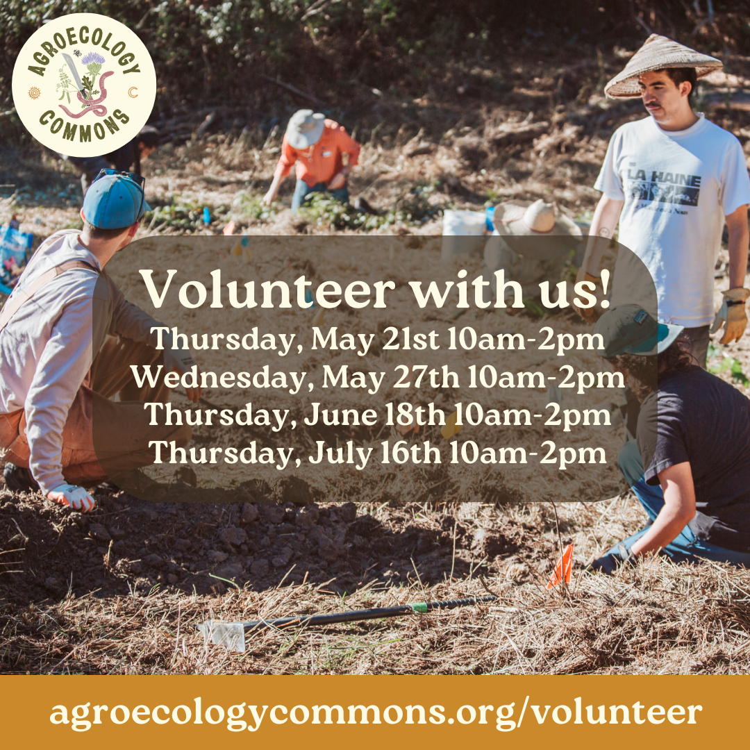 Spring Volunteer Days