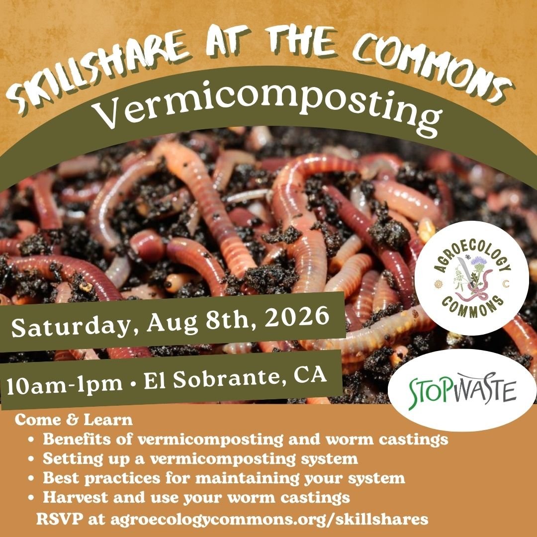 Vermicomposting Skillshare with StopWaste