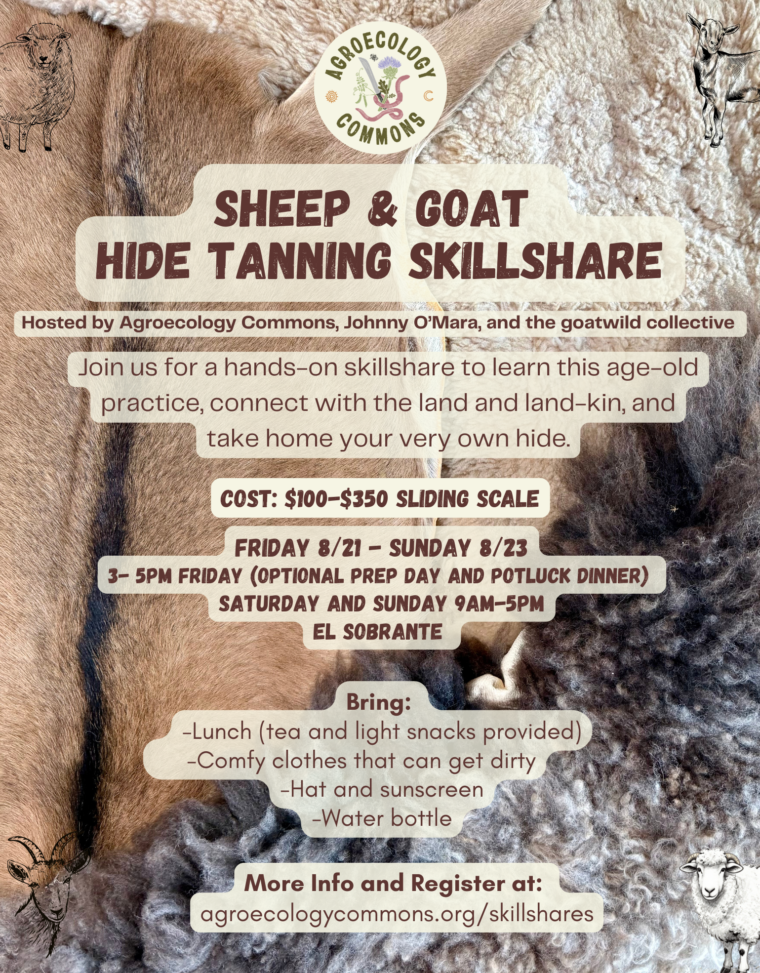 Hide Tanning Skillshare