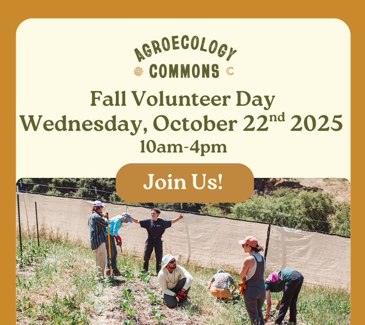 Fall Volunteer Day, Rain Catchment Skillshare, CDFA Grants ...