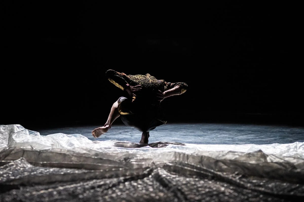 Day Zero-Dance Performance Marcin Motyl born.jpg