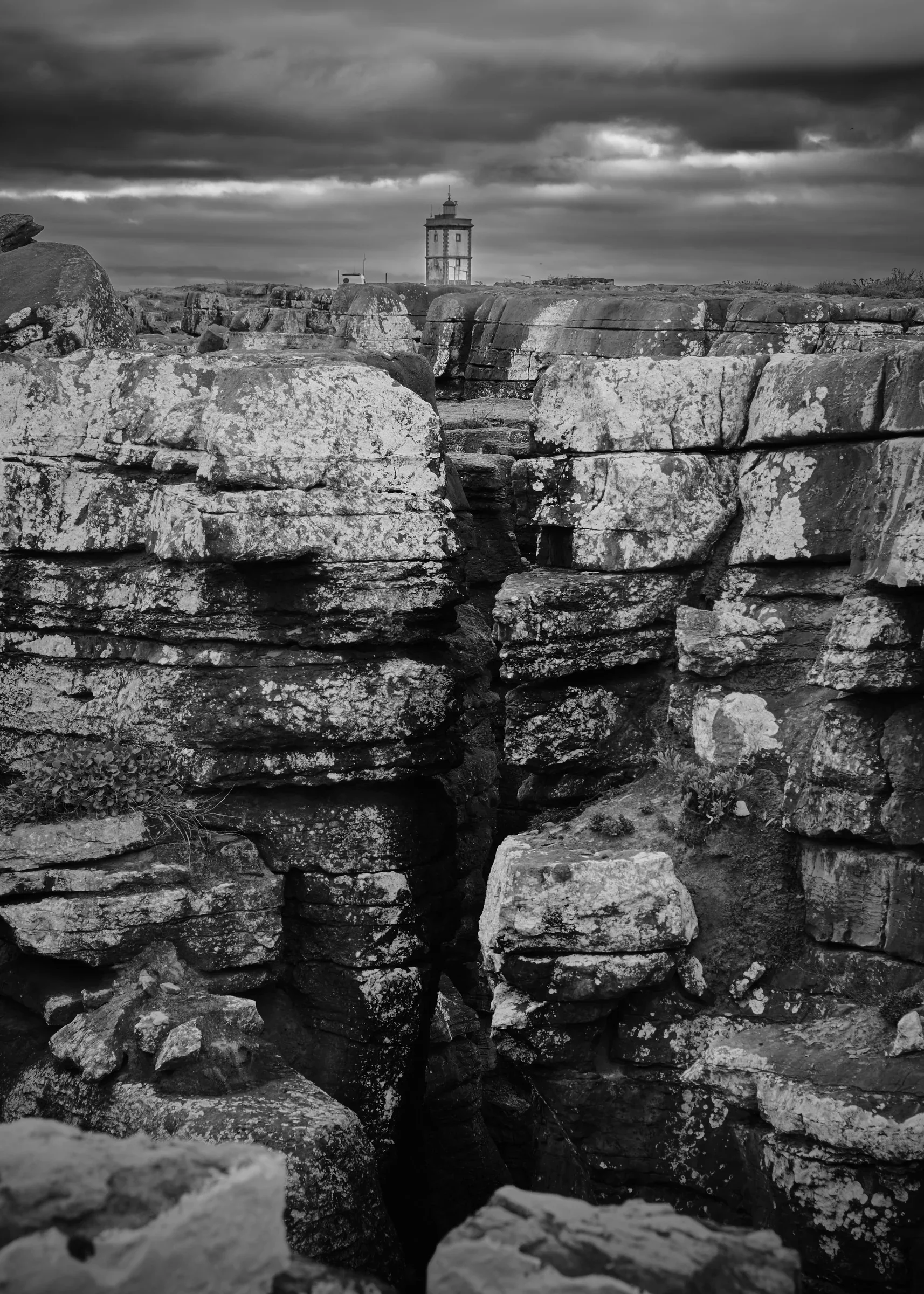 DSCF0301 2-web1.webp