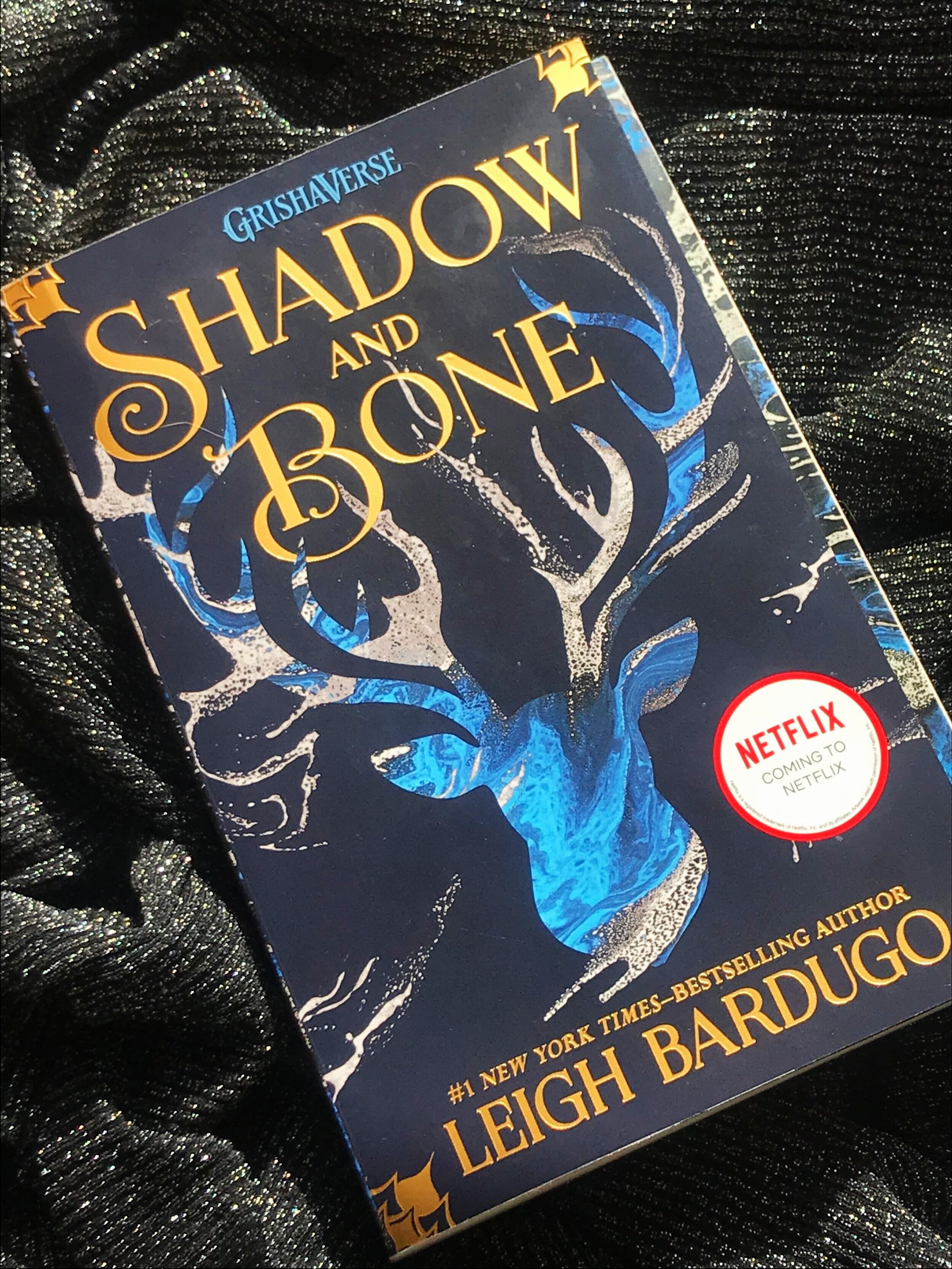 The Grisha: Shadow and Bone: Book 1