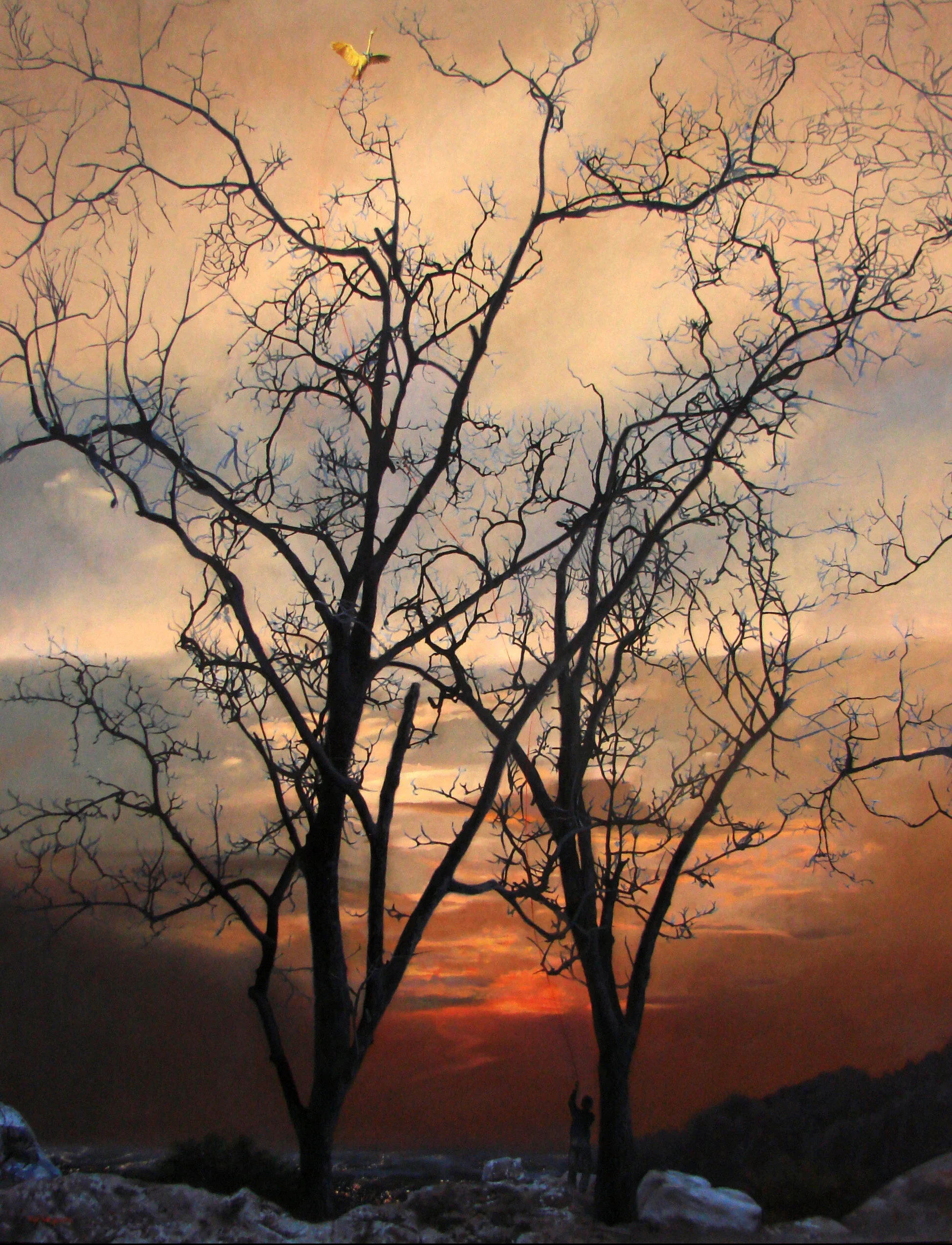 Like a Bird on a String, 2013