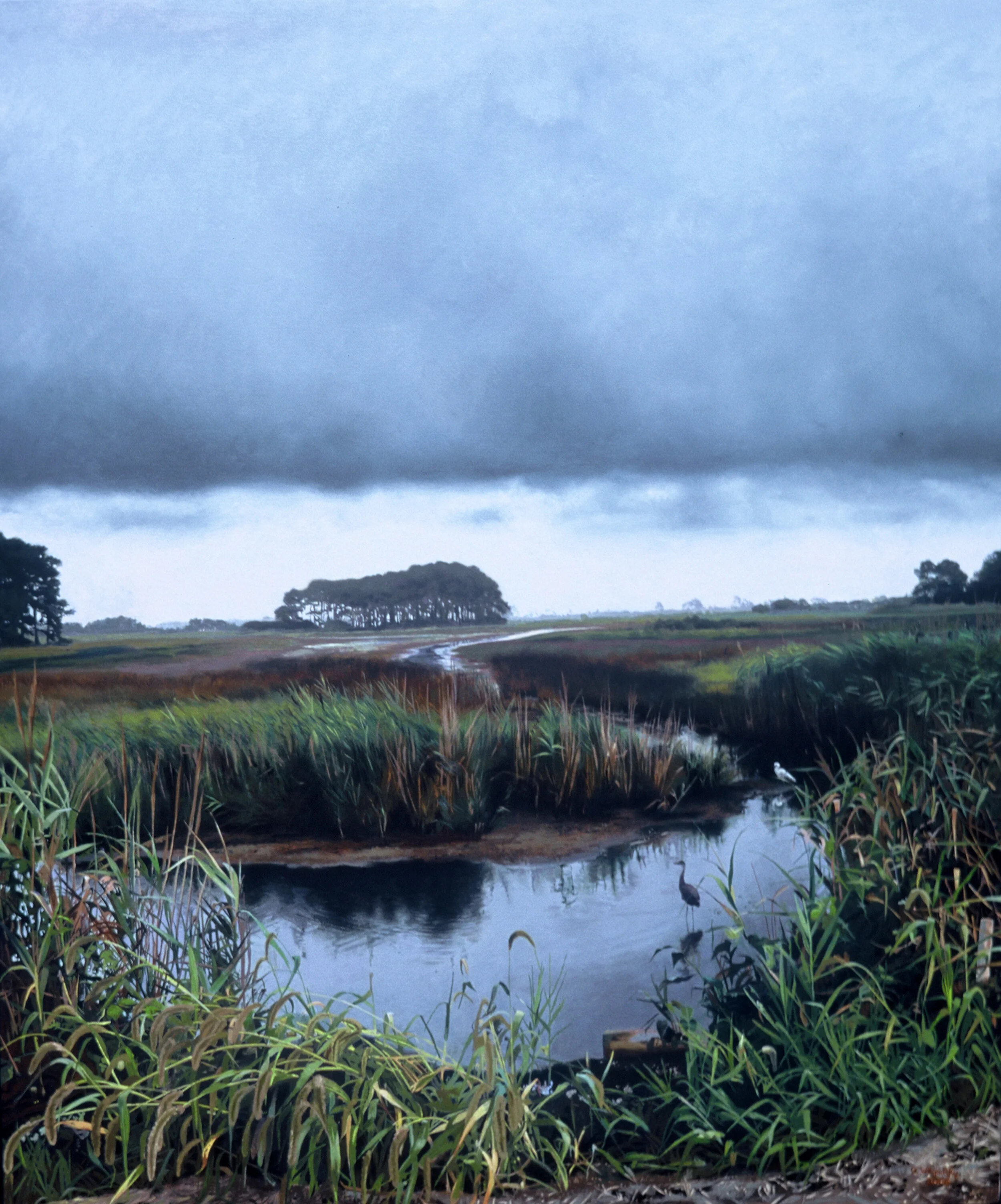 Meandering Waterway, 2006