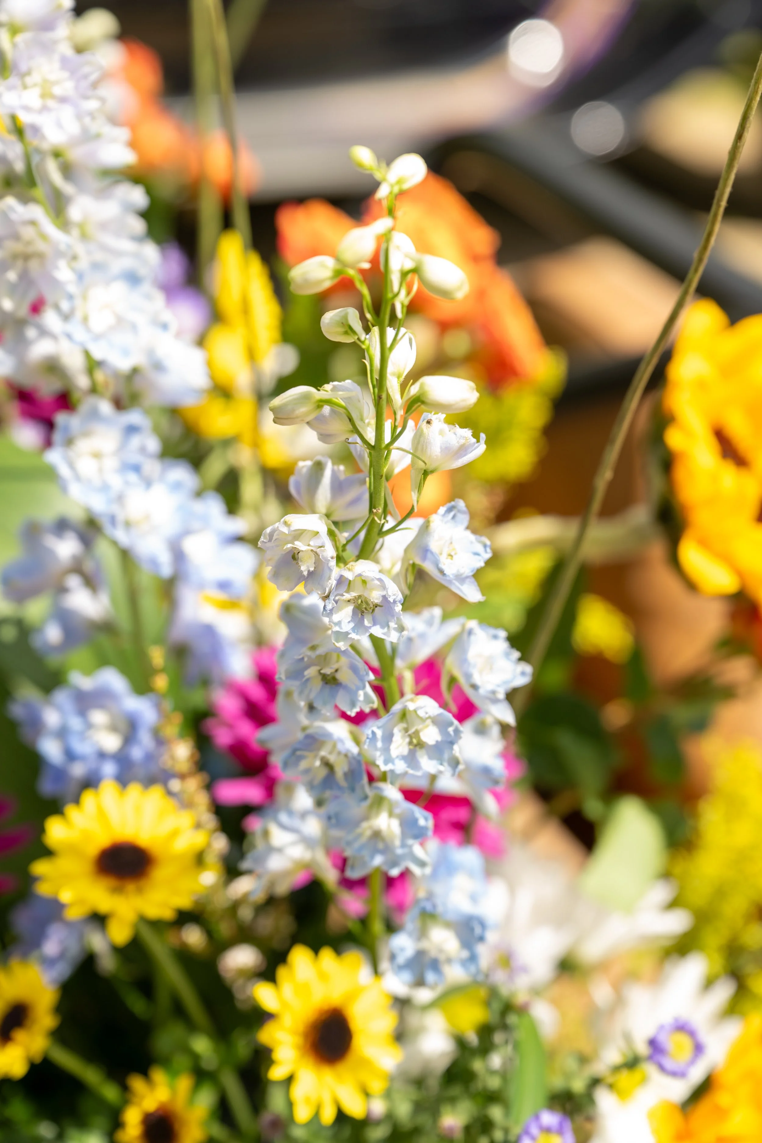 A&LWedding-17.jpg