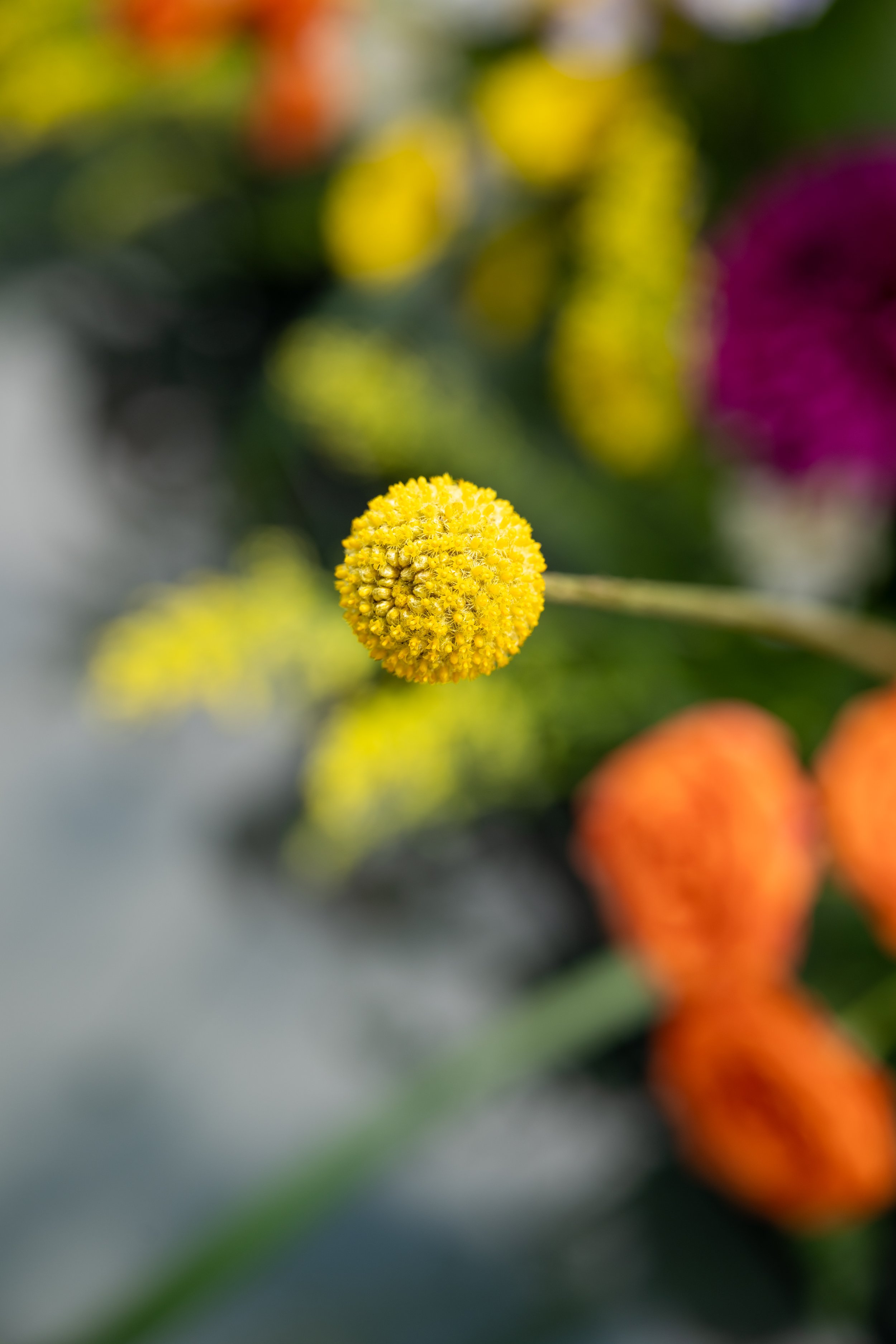 A&LWedding-15.jpg