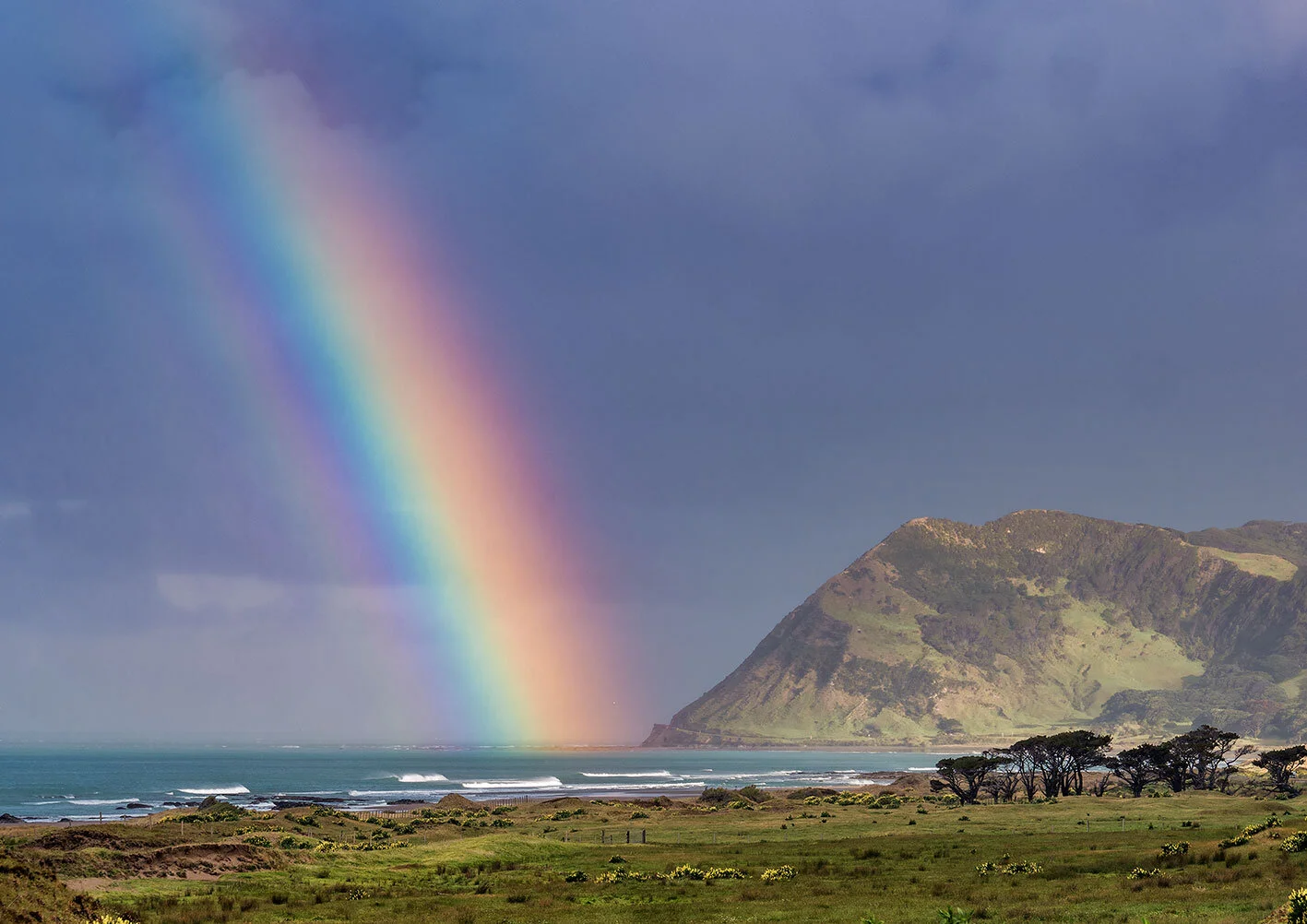Cape Rainbow