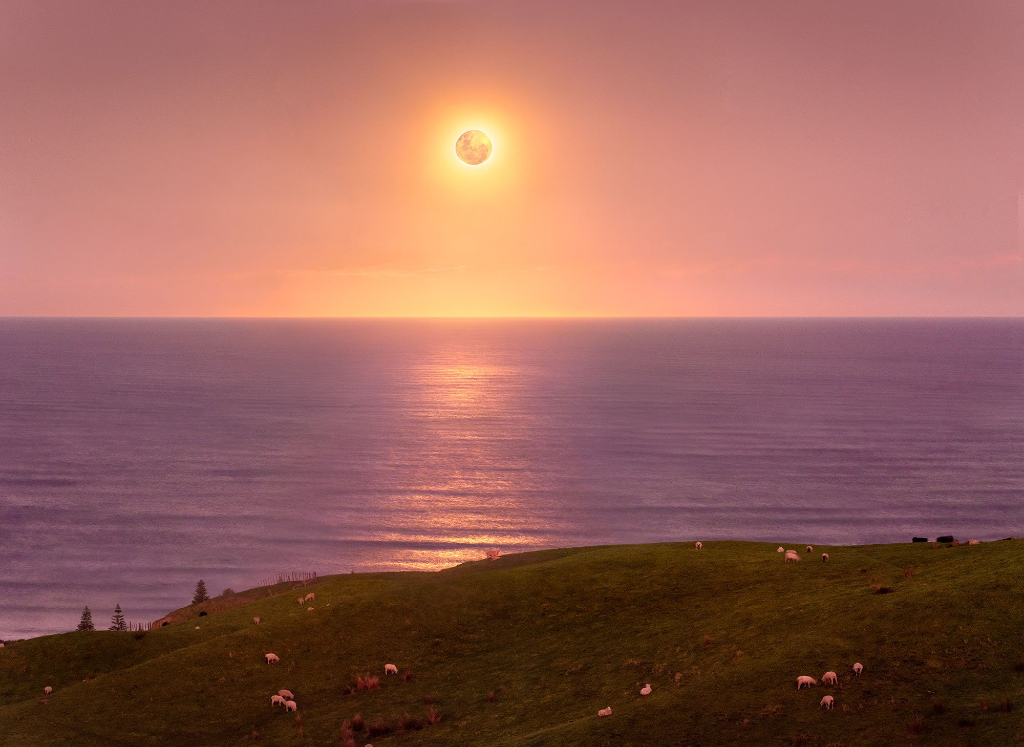 Hinterland-Moon_fields_Rise_SMALL_WEB_.jpg