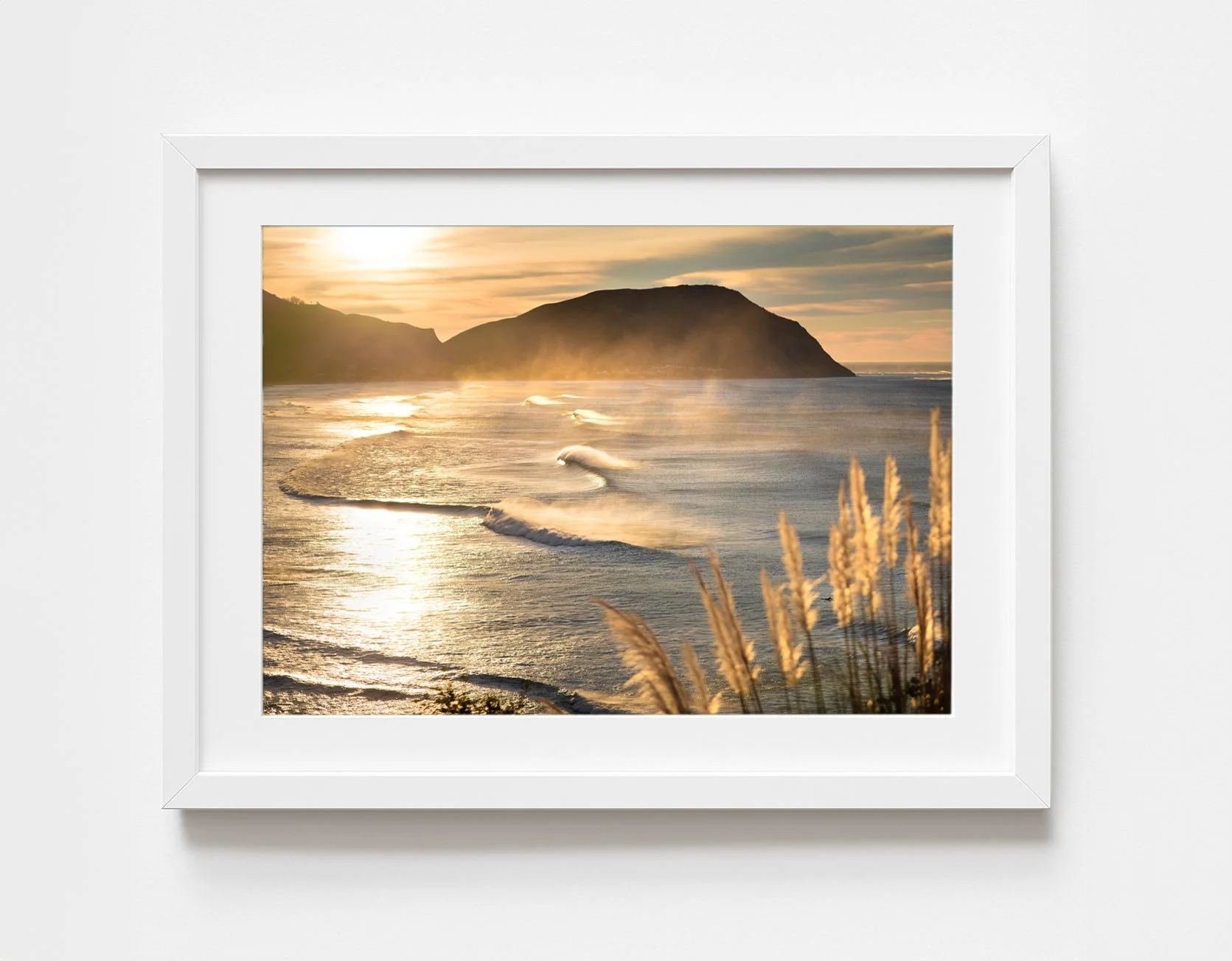 Golden_Dwan_WhiteFrame_Web.jpg
