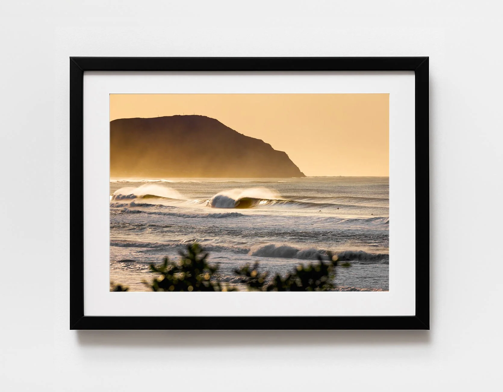 Pumping_Pines_Left__Pineline_FRAME_web_.jpg