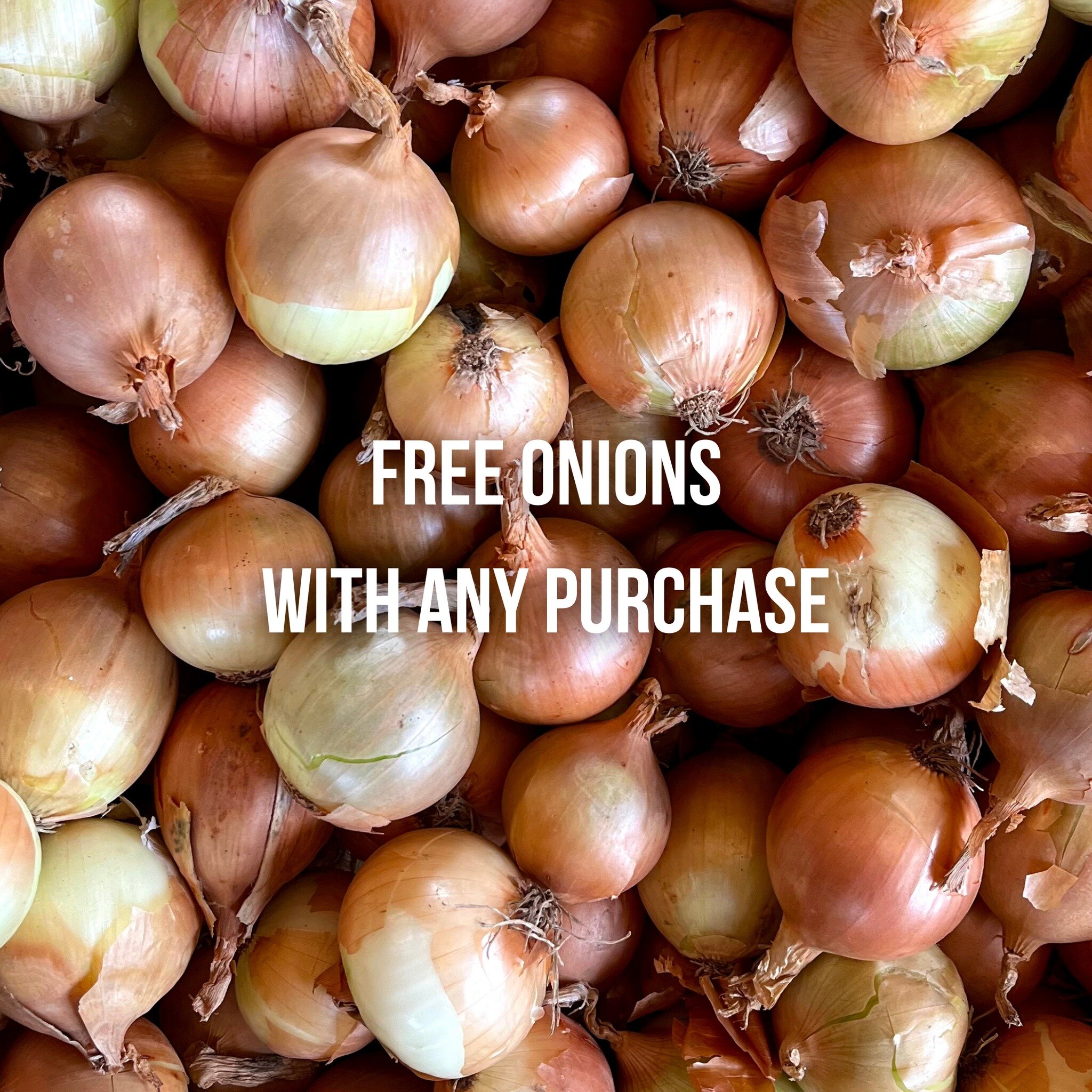 FREE ONIONS 🧅
Make any purchase in-store with us and grab some free onions on your way out! Available while stocks last🌱