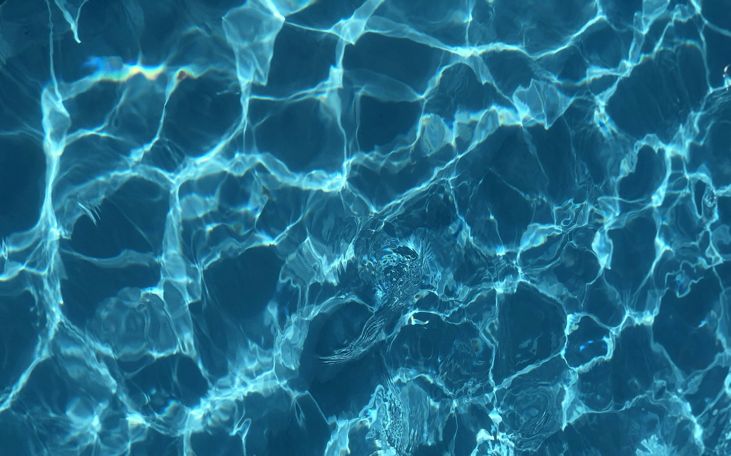 Summer Pool Safety