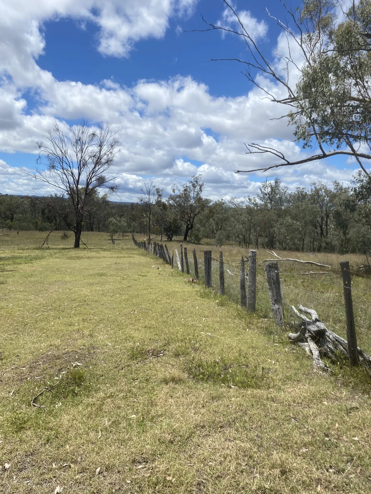 Pike Creek — Corporate Carbon