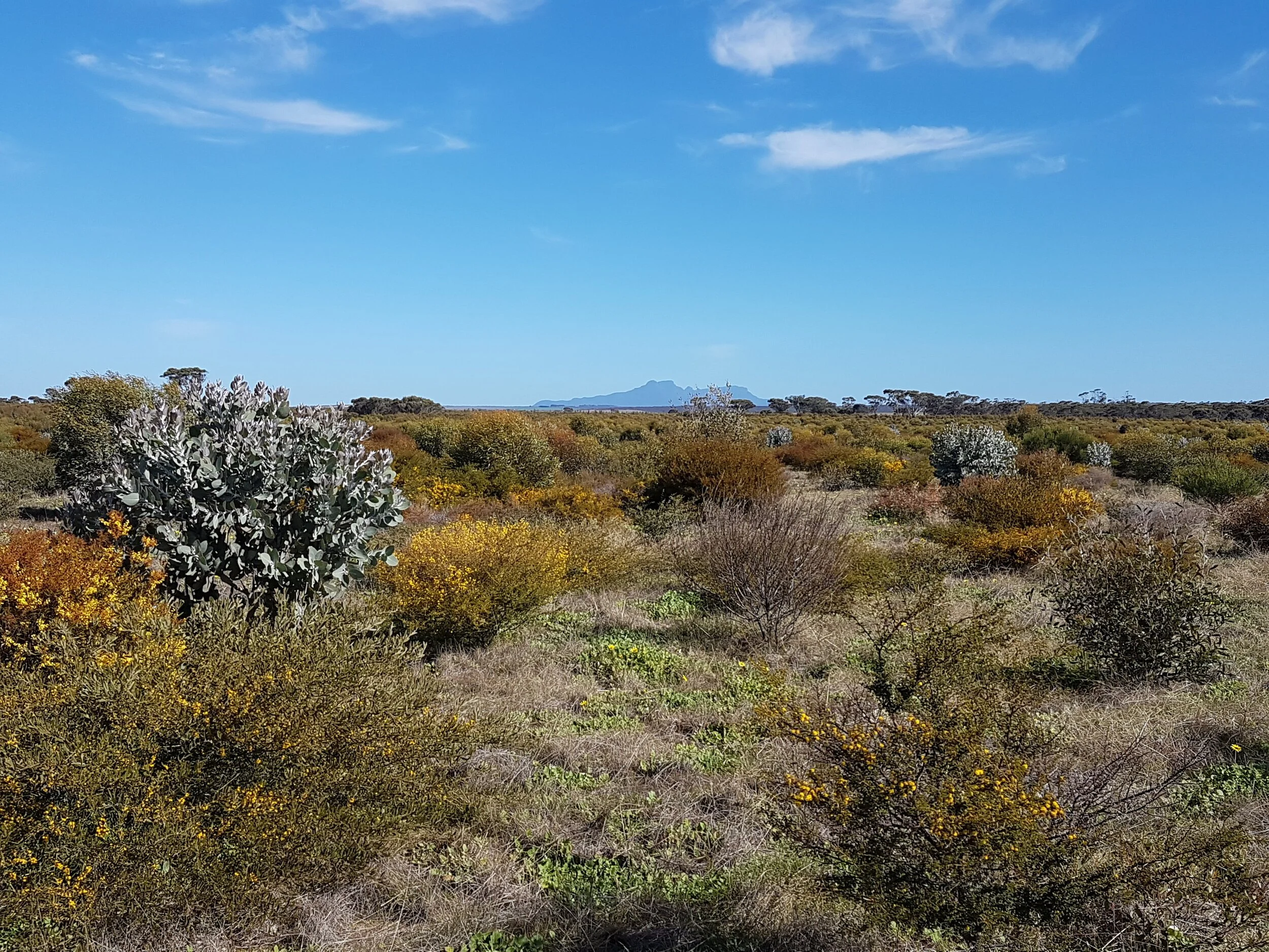 Public submission to the Clean Energy Regulator: FullCAM Model &amp; Guidelines Update