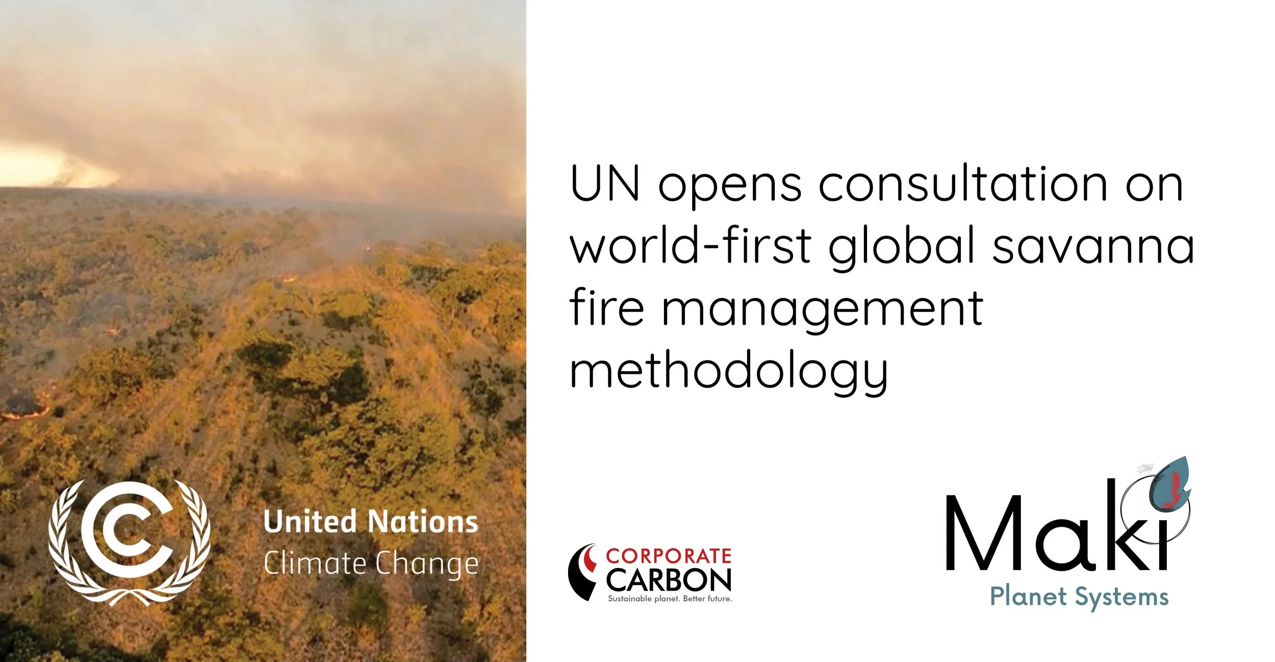 Applying strategic fire management across wooded savannas worldwide