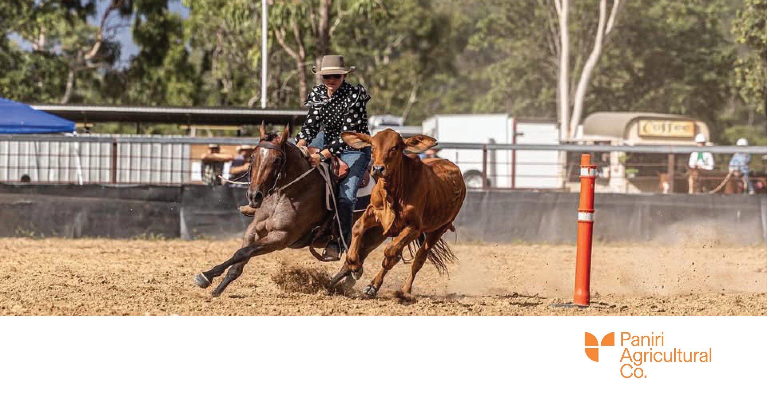A year in rodeos and campdrafts at Paniri Agricultural Co.