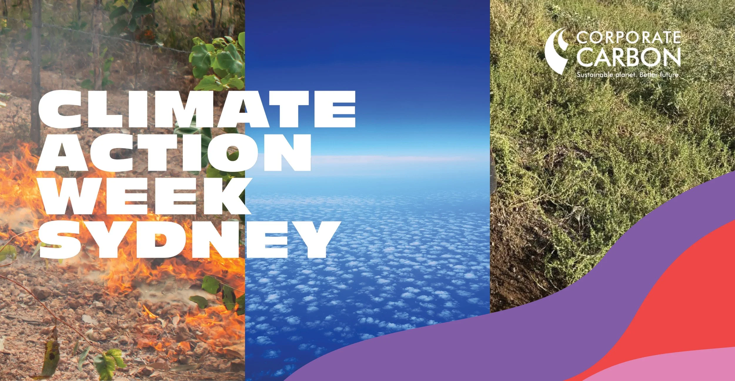 Fighting Climate with the Elements