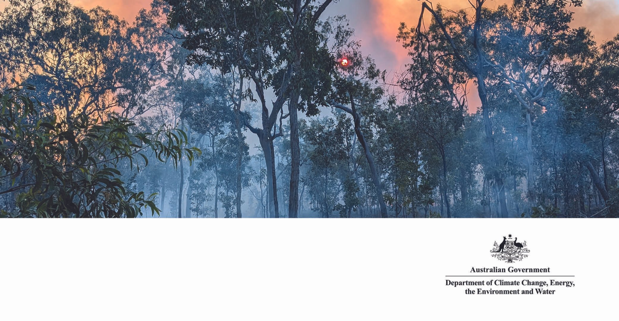 A new dawn for Savanna Fire Management in Australia