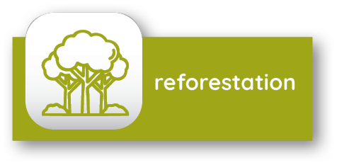 Project examples — Corporate Carbon
