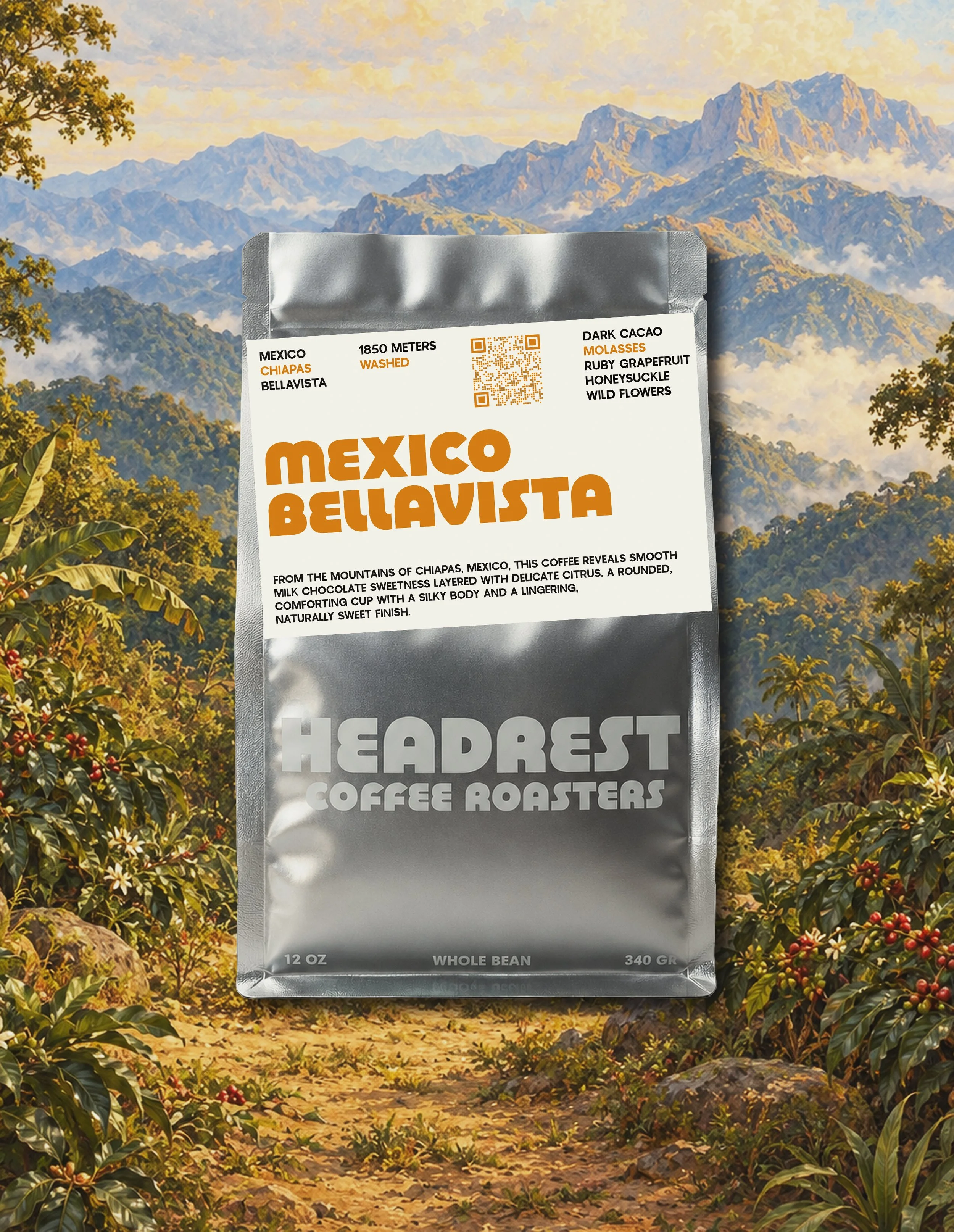 mexico chiapas.jpg