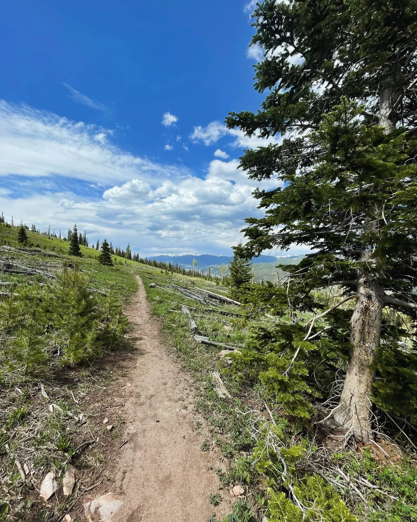 Green grass &amp; blue skies 🤩
Click the link in our bio or give us a call to book today! 
*
#firesideinn #breckenridgecolorado #breckenridge #colorado #hostel #hostellife #bedandbreakfast #bedandbreakfastcolorado #coloradotrail #cdt #ct2024 #cdt202