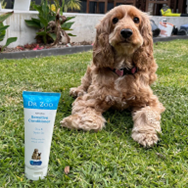 Dr Zoo New Conditioner.png