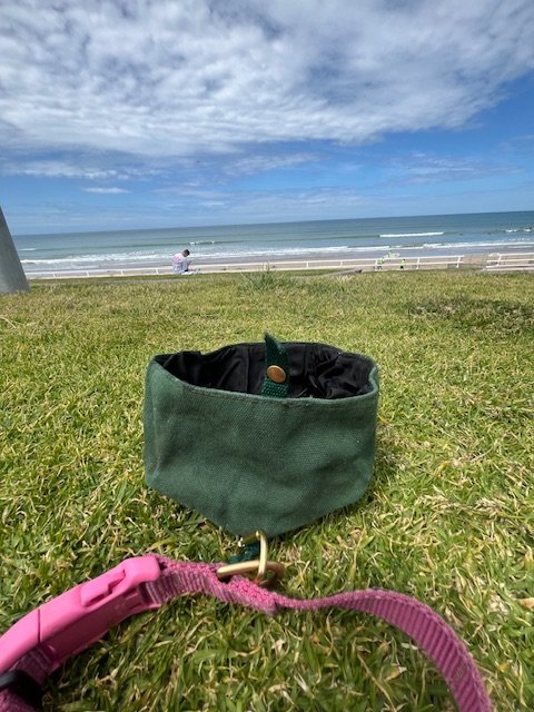 Collapsible Dog Bowl by Field Wander — Zali Co