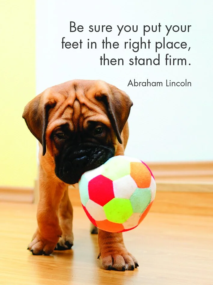 Little Affirmations Puppy Love — Zali Co