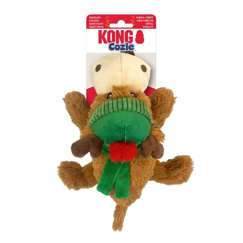 Kong Tikr Dog Toy - Small