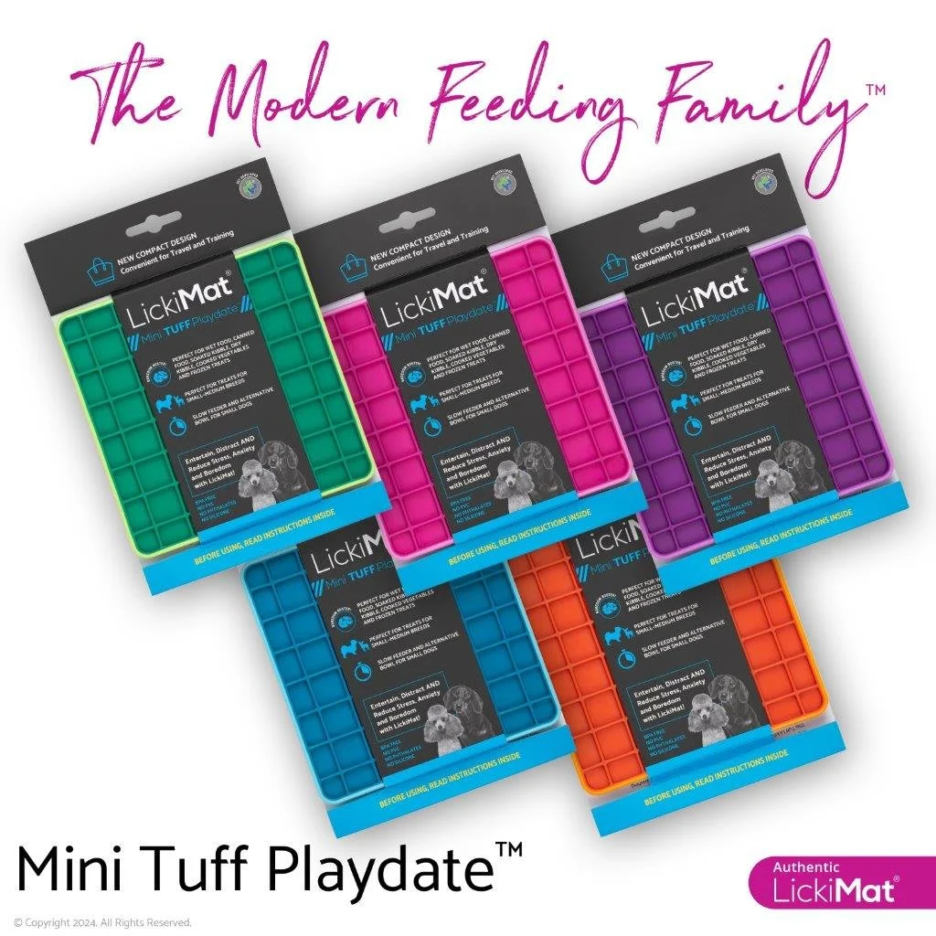 Family Dog Mini Tuff Playdate 11_W.jpg