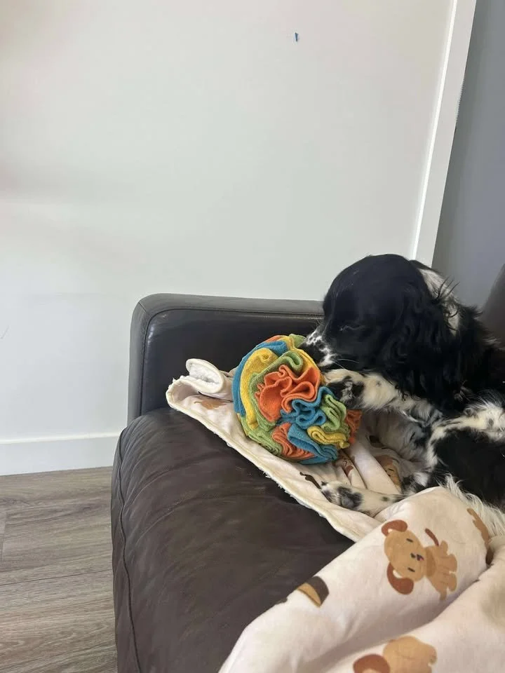 Snuffle Ball - Ralph.jpg