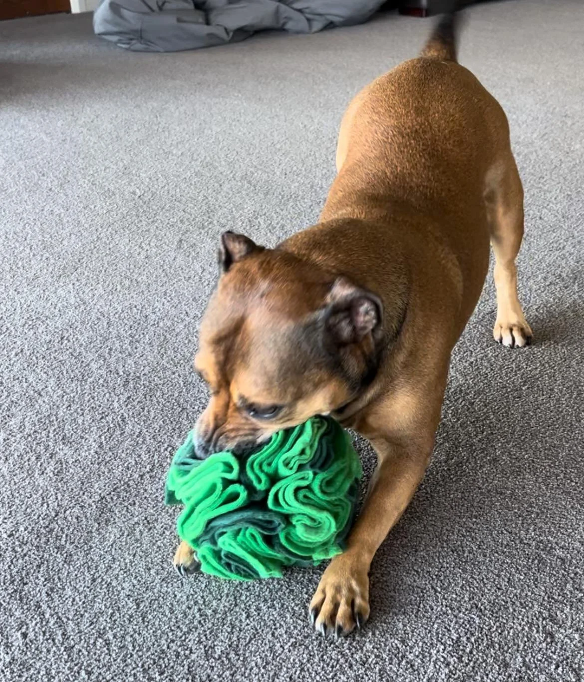 520143624_759104973317011_1246259882251682356_n - Copy - Copy - Copy.jpg