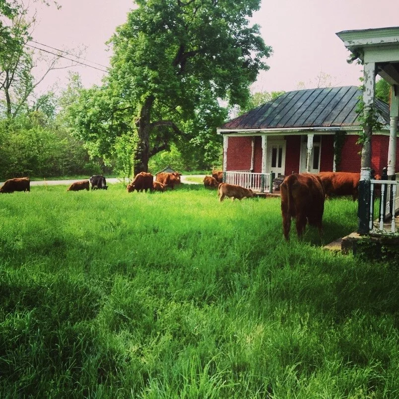 Products River Oak Farm Products river oak farm