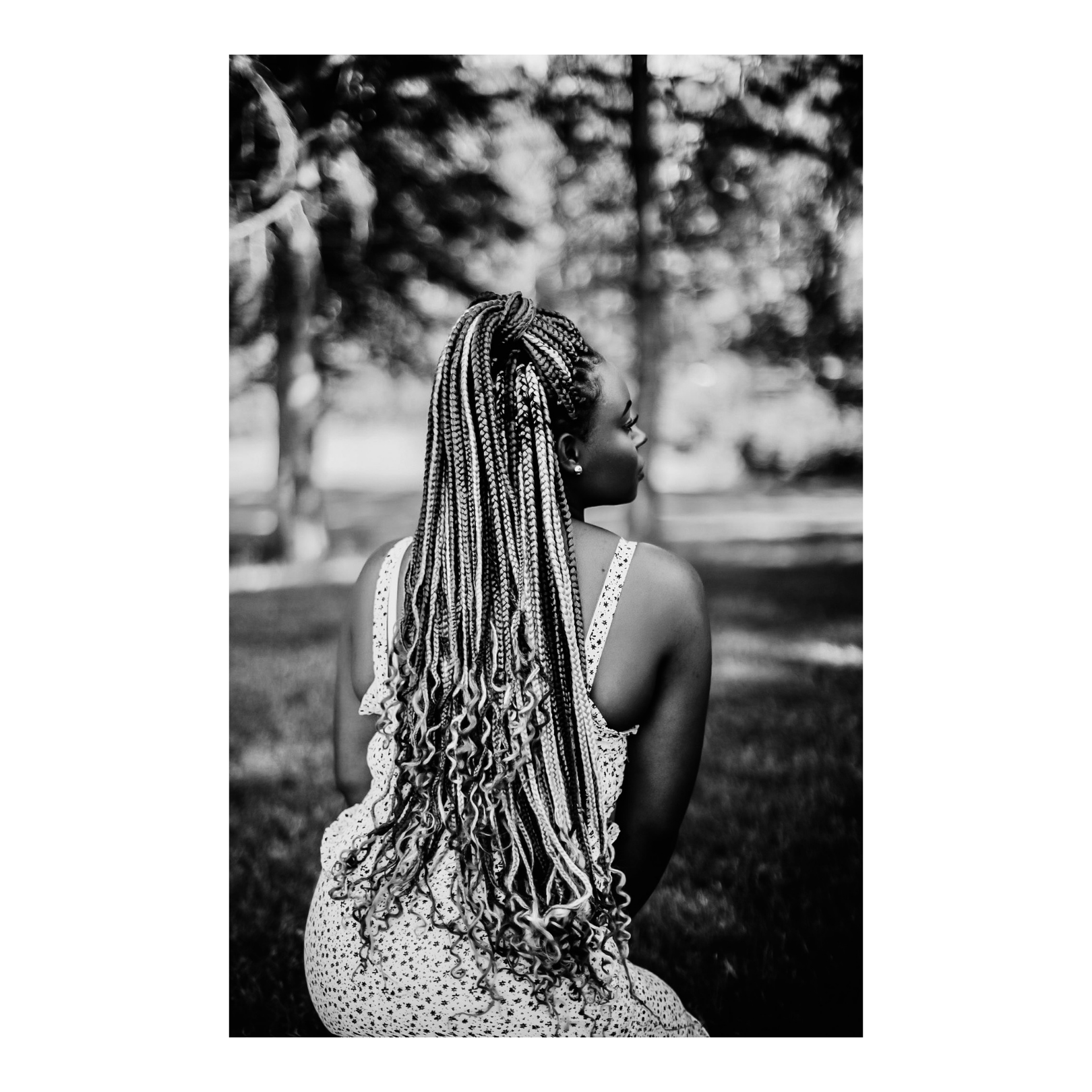 Untitled design (18).png