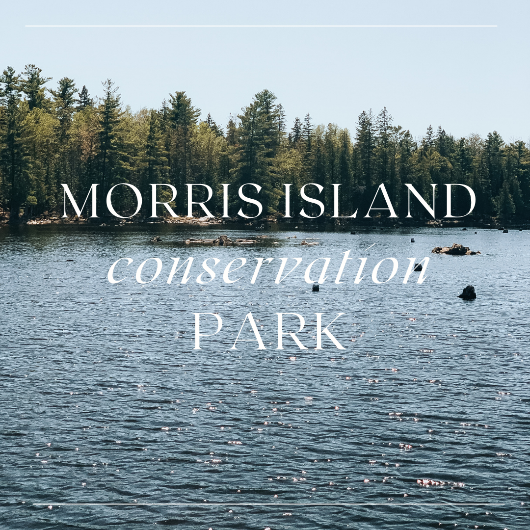      

 
   what you should know before you start blogging 
 






















    

 
    Morris Island Conservation Area  is a national park located on the Ottawa River near Fitzroy Harbour in Ontario Canada. This is a beautiful area if you li