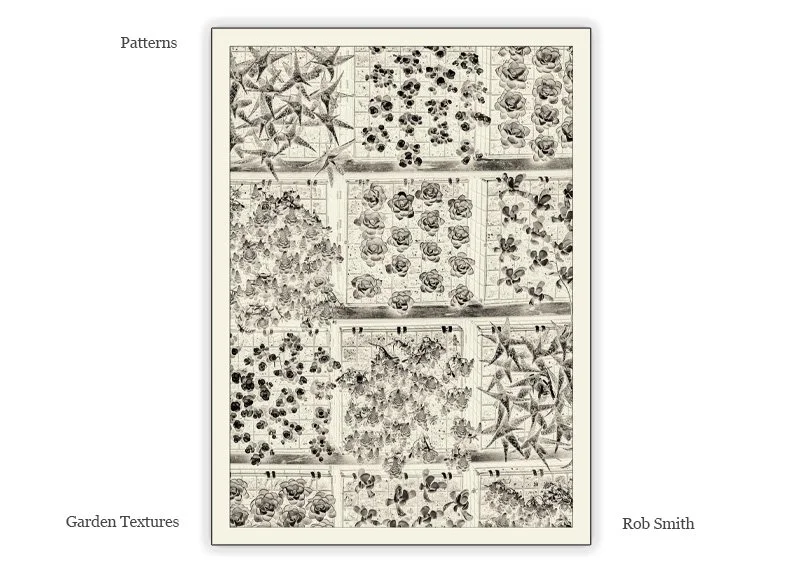 Patterns.jpg