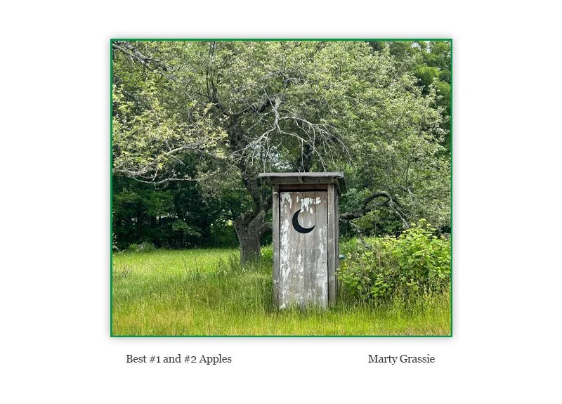 Apples.jpg